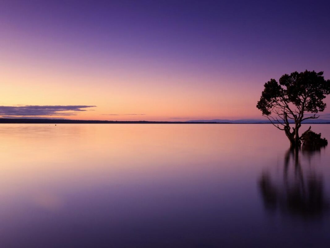 finding calm in quiet moments