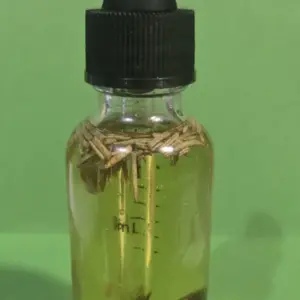 Money Fast Ritual Oil